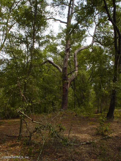 0 Strickland Road Interlachen, FL 32148 - Photo 2 of 2 PROPERTY