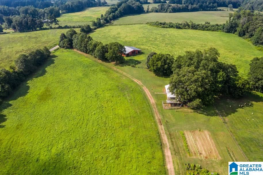 1256 County Road 643 Ranburne, AL 36273 - Photo 24 of 50