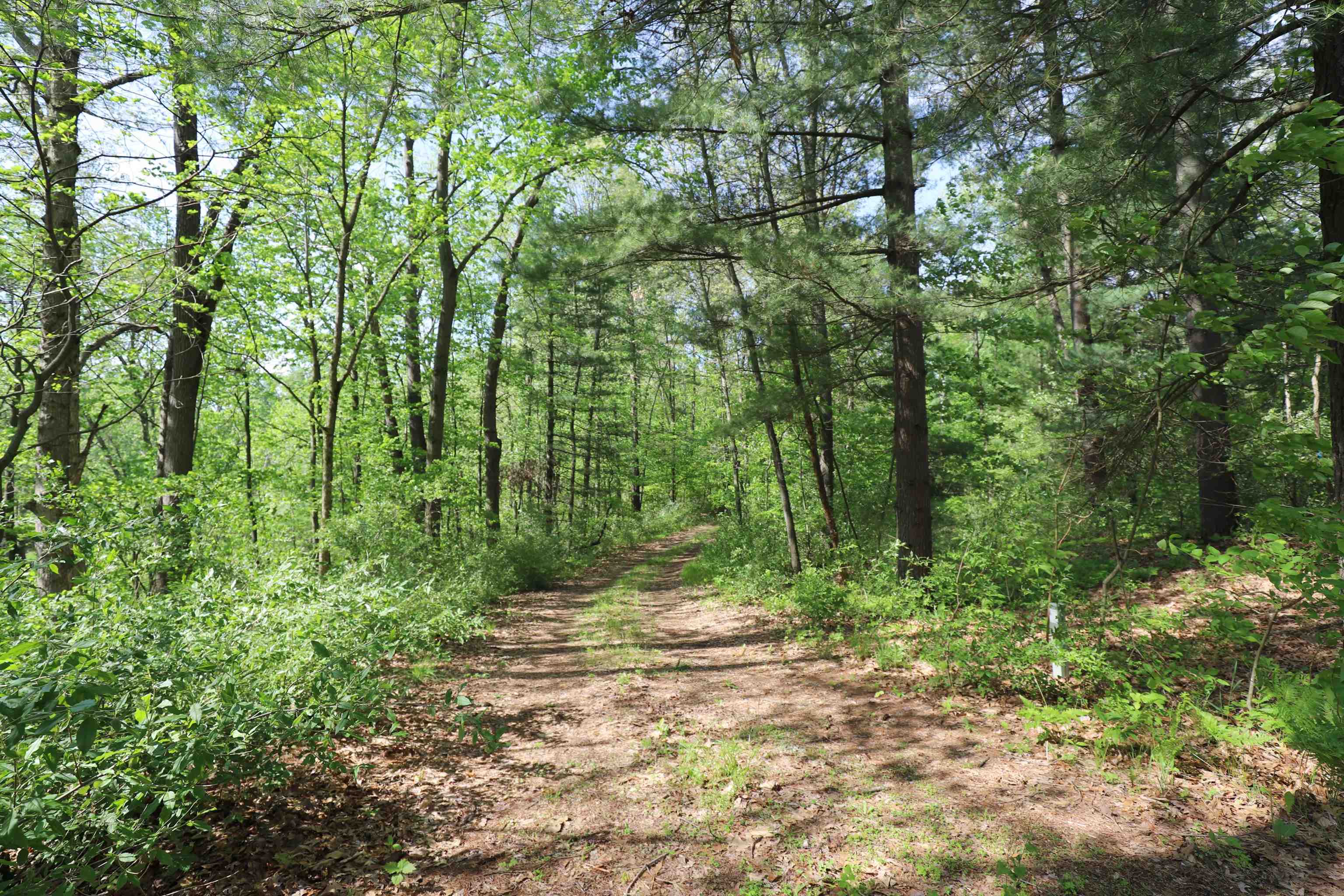 12215 Lillie Road Byron, MI 48418 - Photo 10 of 38