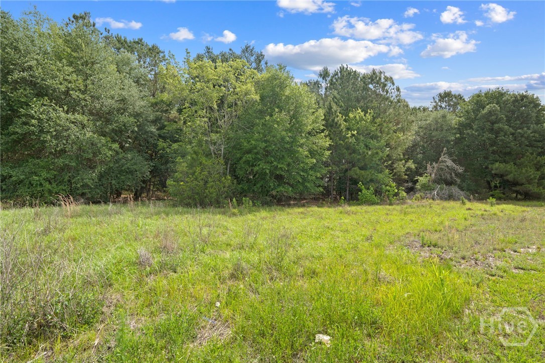 212 Sagefield Drive Rincon, GA 31326 - Photo 4 of 45 Wooded backyard views