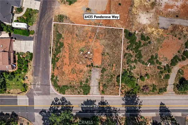 a view of a brick wall with a tree in front of it