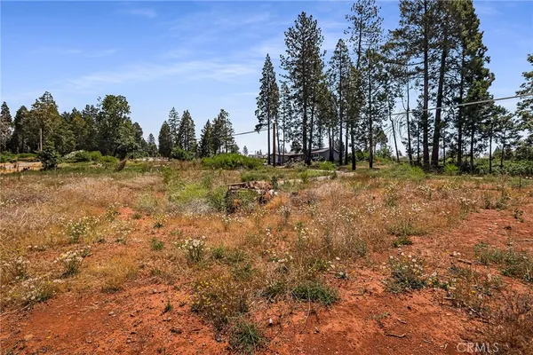a view of a yard with trees in the background