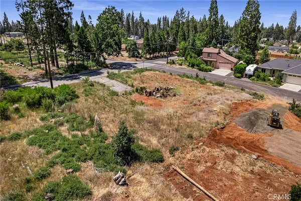 a view of a park with large trees