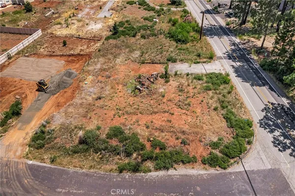 a view of a yard with plants