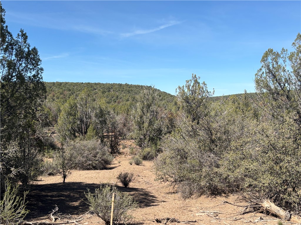 352-38-012 352-38-012 Badger Ridge Road Kingman, AZ 86401 - Photo 29 of 31