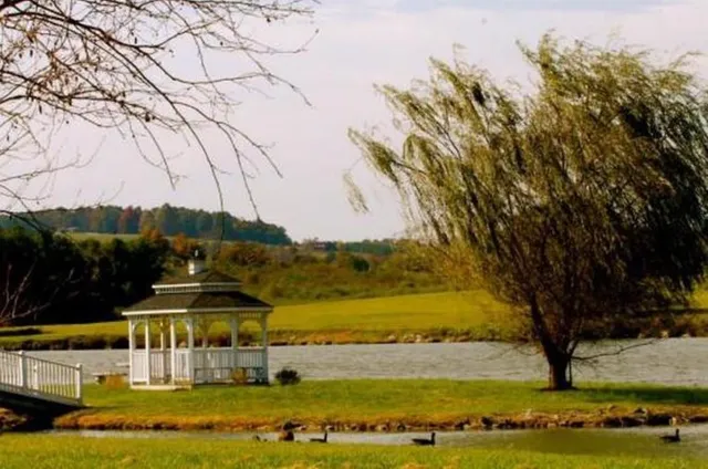 a view of a lake with houses in the back