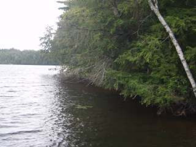 Three Schomann Road, Unit 143 Eagle River, WI 54521 - Photo 2 of 5 Gallery Image 2