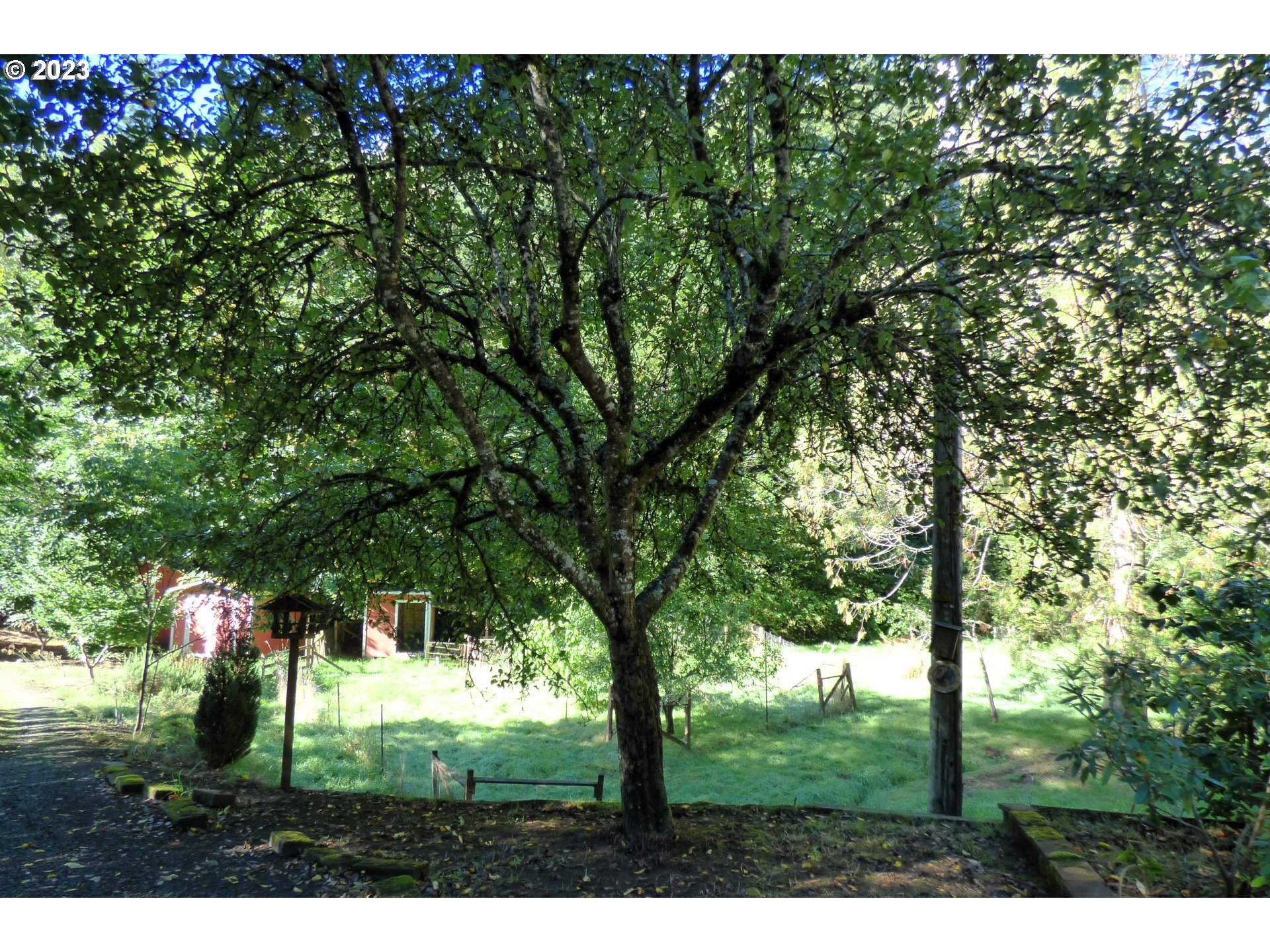 58420 Garden Valley Road Coquille, OR 97423 - Photo 10 of 42 Gallery Image 10