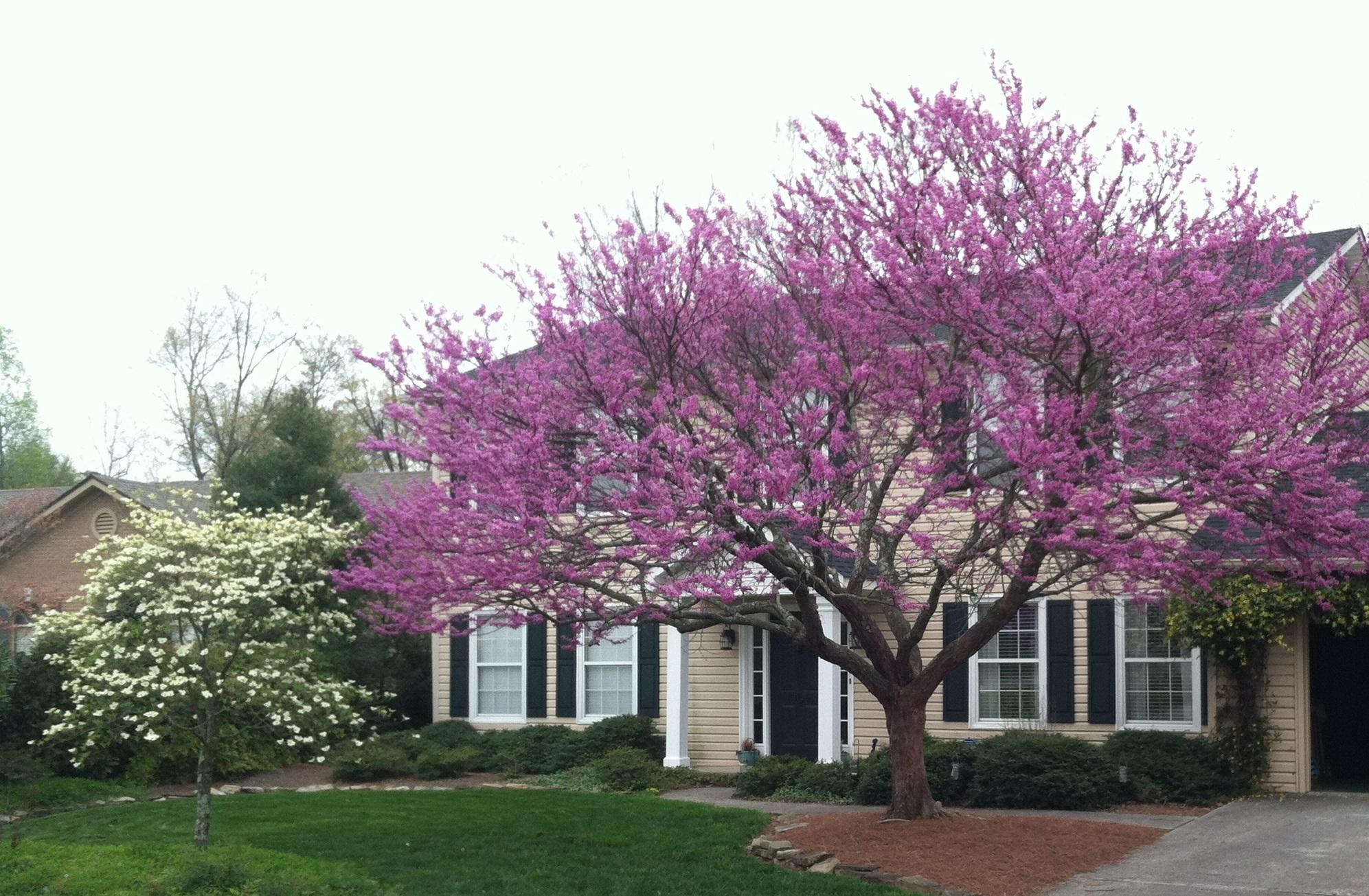 10018 Double Tree Road Knoxville, TN 37932 - Photo 2 of 32 photo