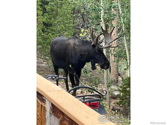 a view of a outdoor space