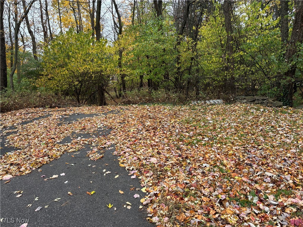 3351-3353 Mayfield Road Cleveland, OH 44118 - Photo 13 of 13 View of road