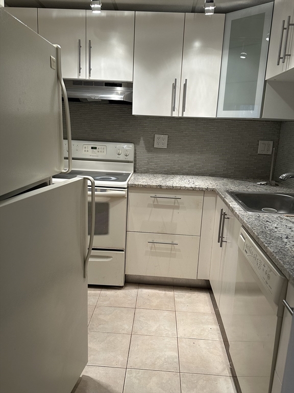 50-56 Broadlawn Park, Unit 202 Boston, MA 02467 - Photo 5 of 16 Gallery Image 5