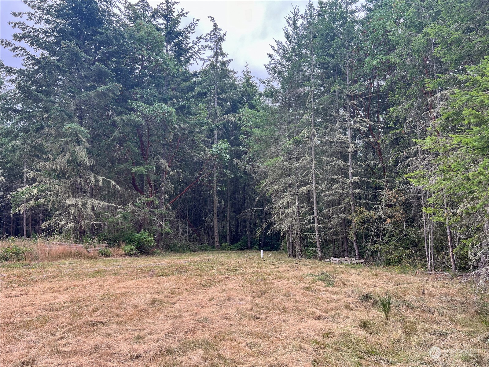 6219 Cape George Road Port Townsend, WA 98368 - Photo 16 of 22 Gallery Image 16