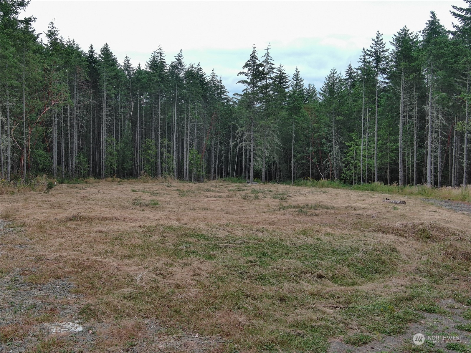 6219 Cape George Road Port Townsend, WA 98368 - Photo 20 of 22 Gallery Image 20
