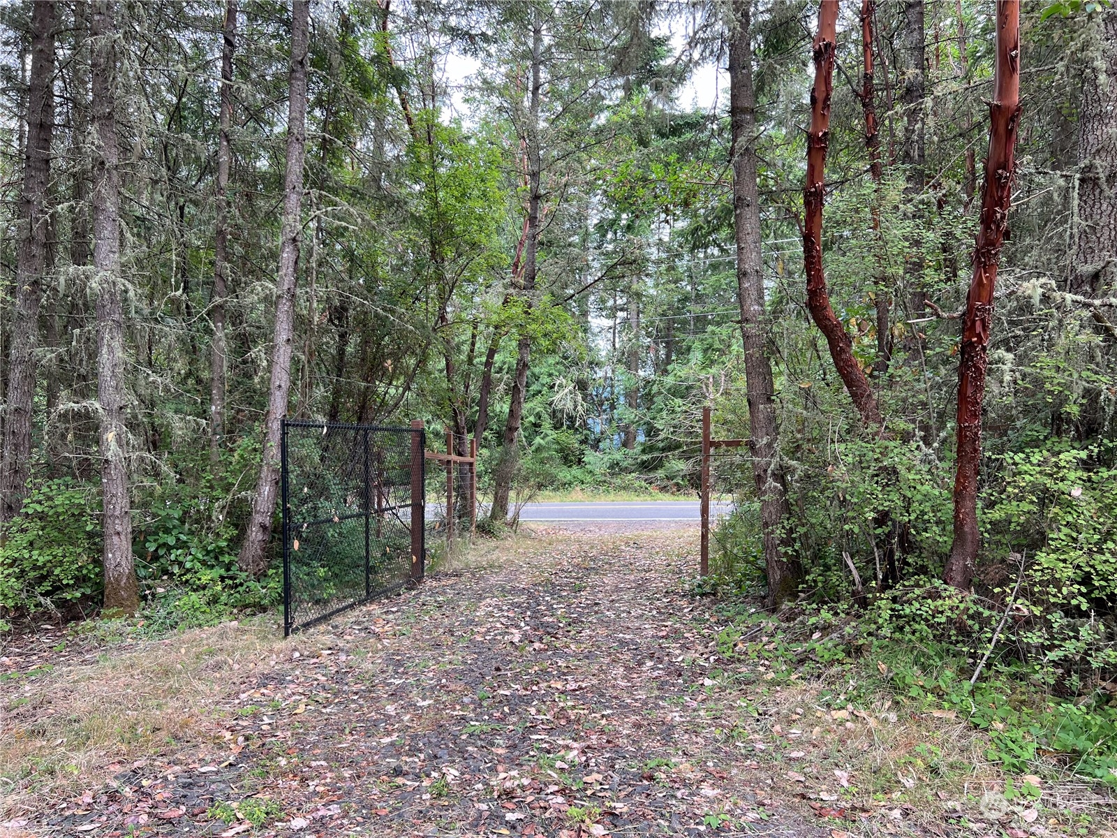 6219 Cape George Road Port Townsend, WA 98368 - Photo 4 of 22 Gallery Image 4