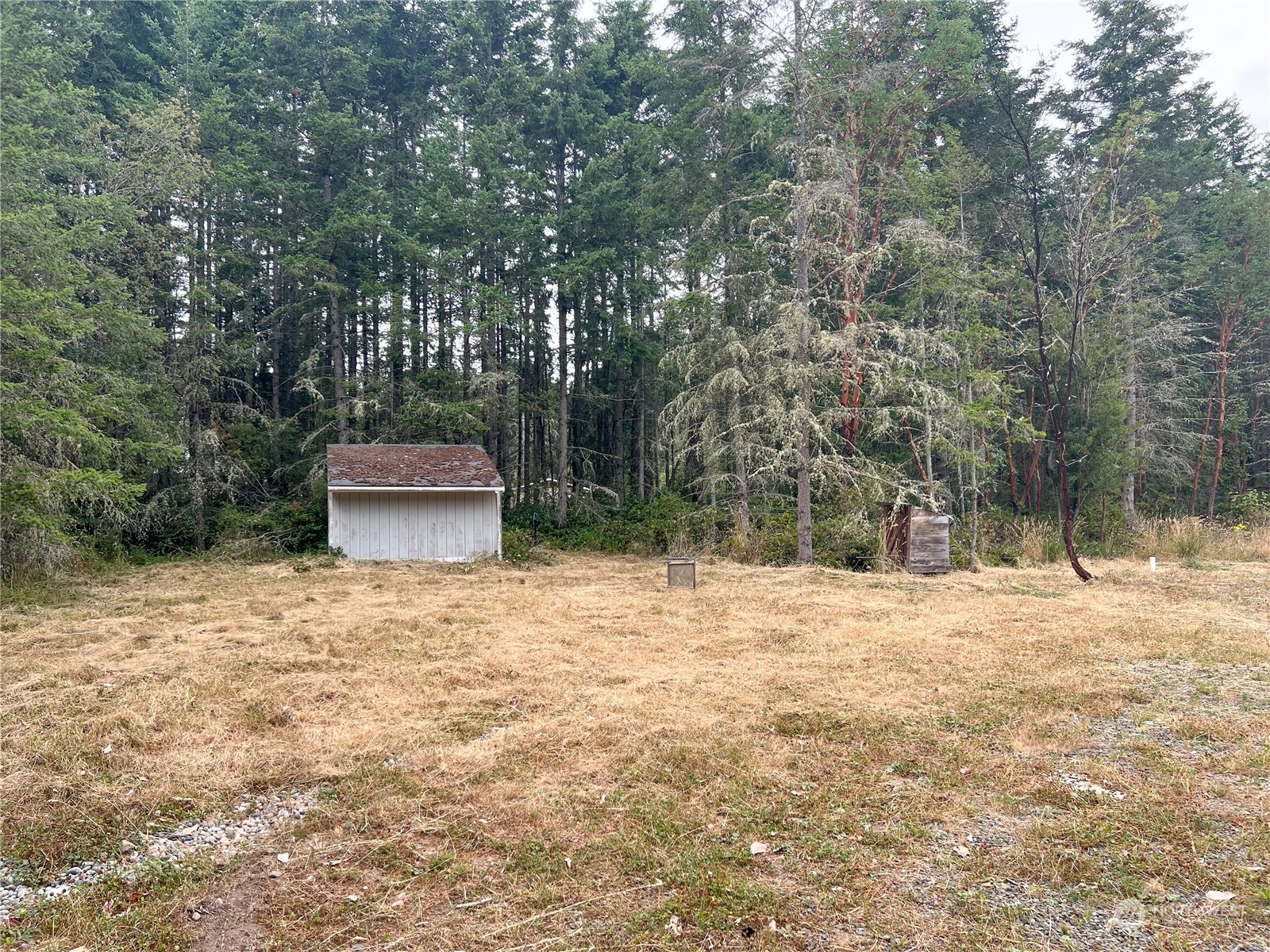 6219 Cape George Road Port Townsend, WA 98368 - Photo 6 of 22 Gallery Image 6