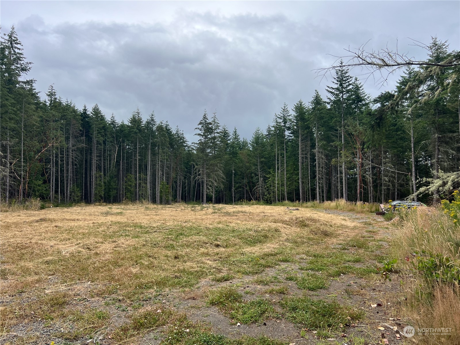 6219 Cape George Road Port Townsend, WA 98368 - Photo 9 of 22 Gallery Image 9