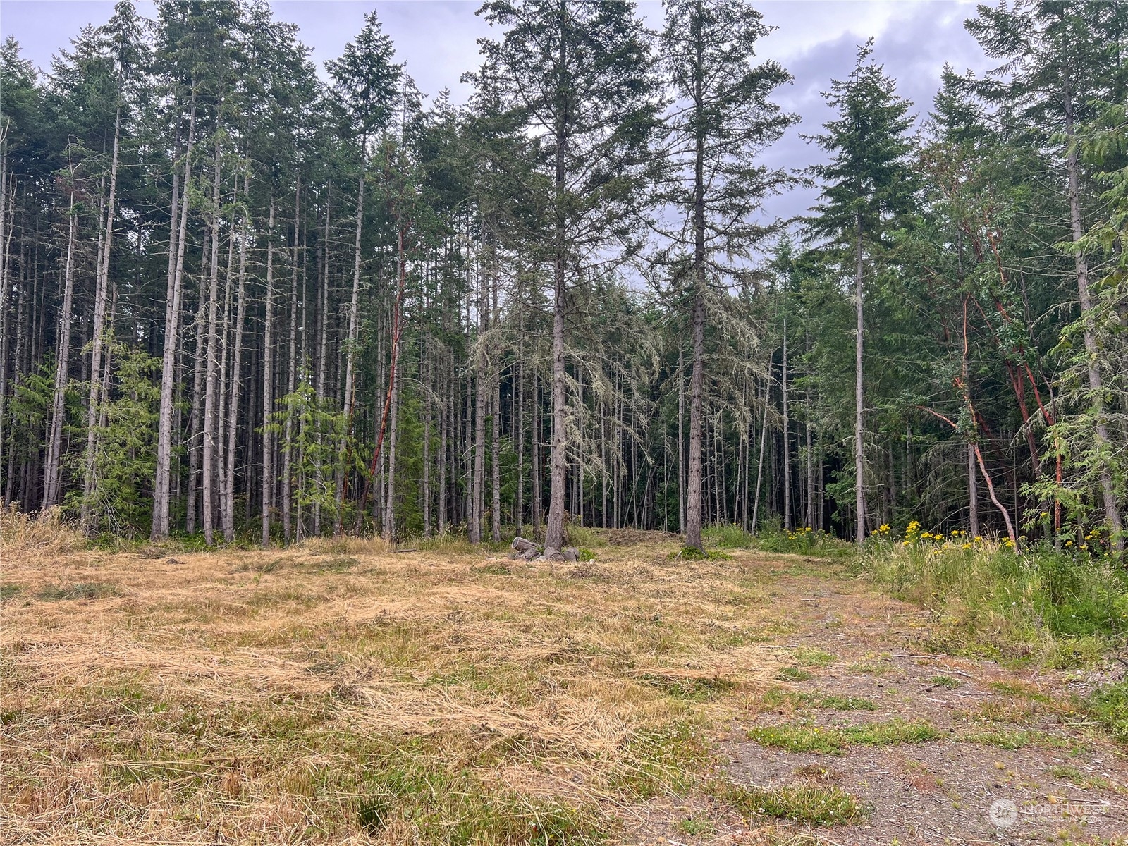 6219 Cape George Road Port Townsend, WA 98368 - Photo 10 of 22 Gallery Image 10