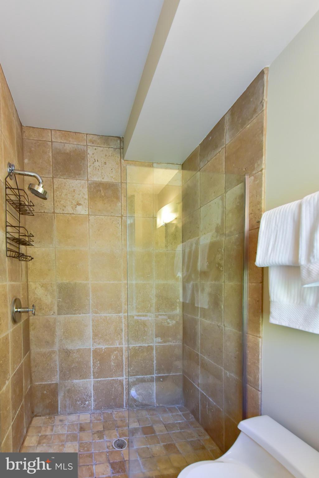 1118 Monroe Street Northwest, Unit 2 Washington, DC 20010 - Photo 12 of 27 Bath