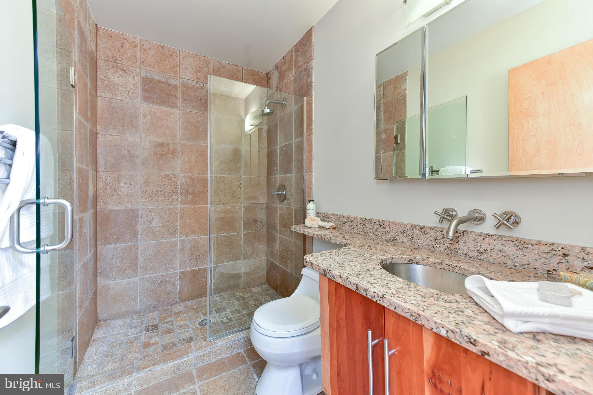 1118 Monroe Street Northwest, Unit 2 Washington, DC 20010 - Photo 16 of 27 Bath