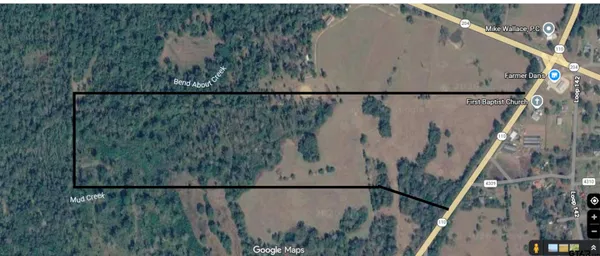 a view of a lush green forest with lots of trees