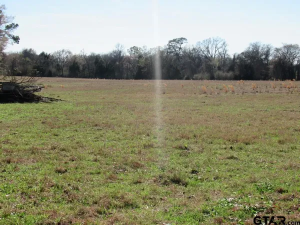 a view of an outdoor space and a yard