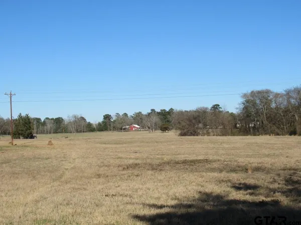 a view of a yard with an trees