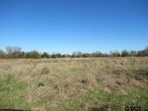 a view of lake with green space