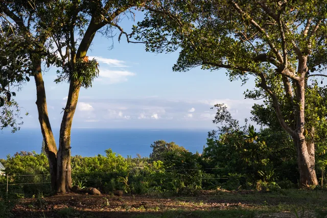 $405,000 | 55-789 Lot 2 Hawi Road, Hawi, HI 96719