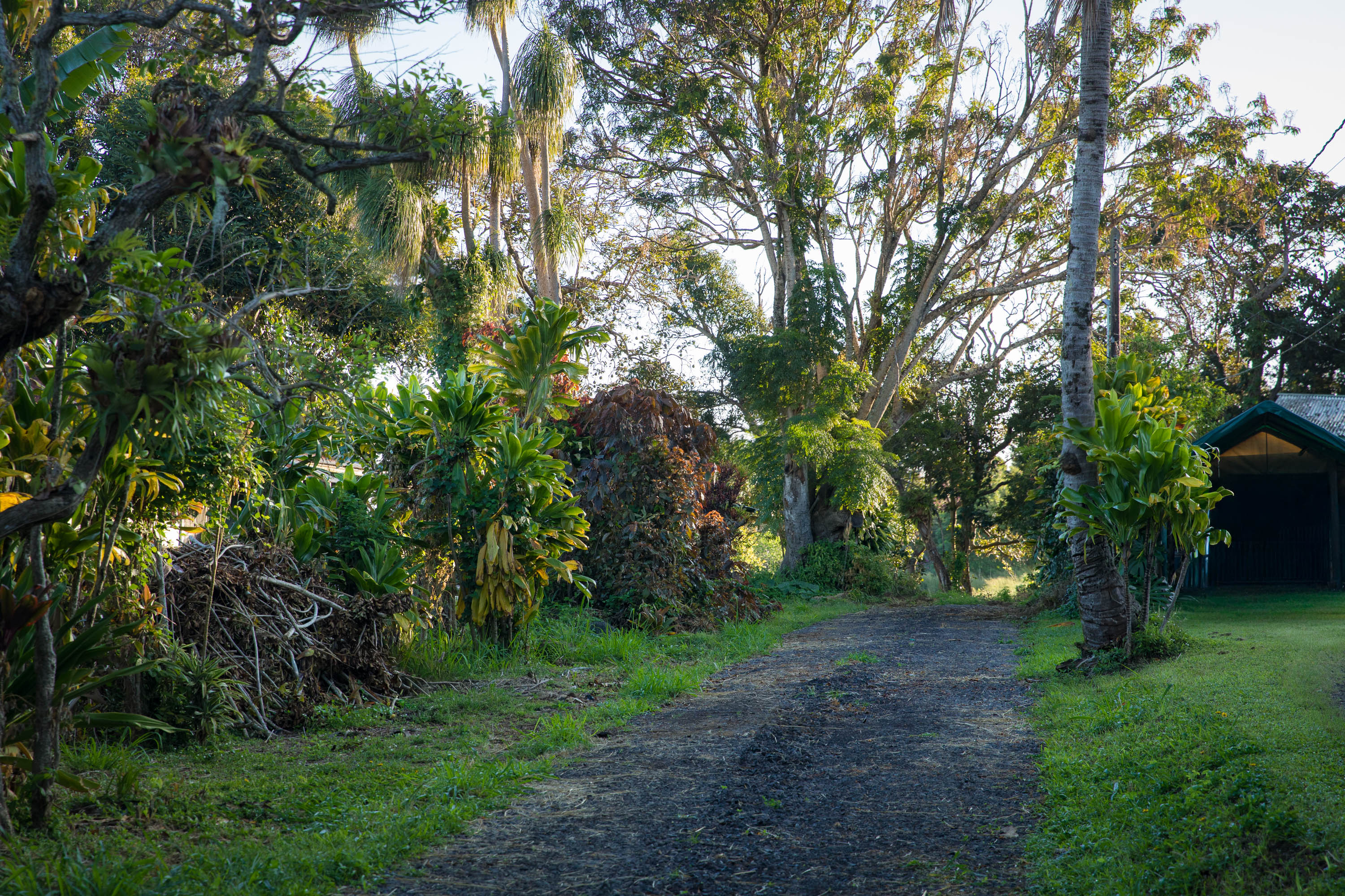 55-789 Lot 2 Hawi Road Hawi, HI 96719 - Photo 3 of 11