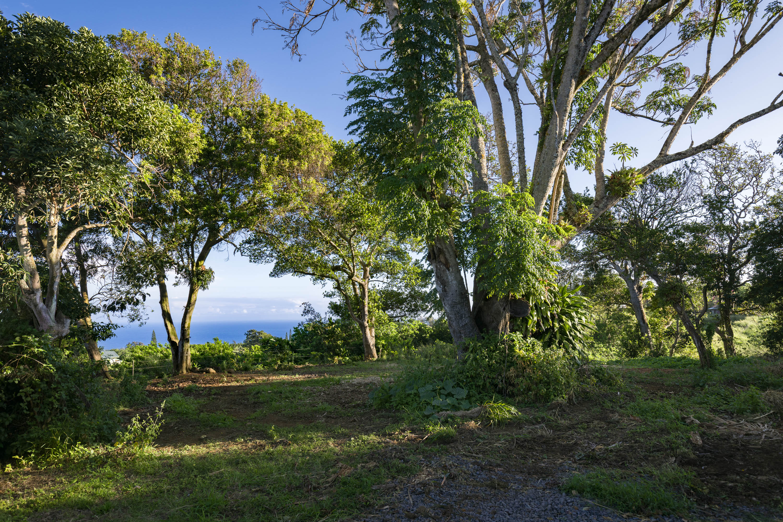 55-789 Lot 2 Hawi Road Hawi, HI 96719 - Photo 5 of 11