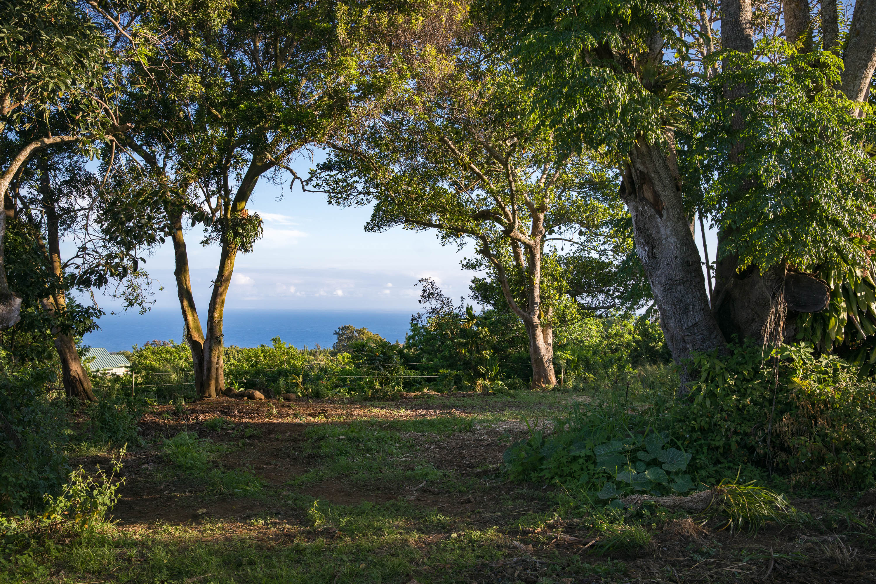 55-789 Lot 2 Hawi Road Hawi, HI 96719 - Photo 6 of 11