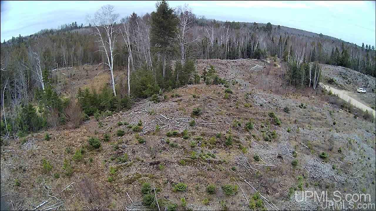 Tbd 2235 Road, Unit 2 Wetmore, MI 49895 - Photo 7 of 25