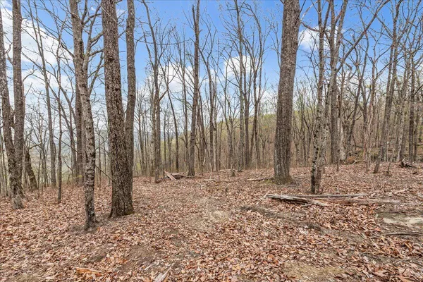 $1,250,000 | 4660 South Pittsburg Mountain Road, South Pittsburg, TN 37380