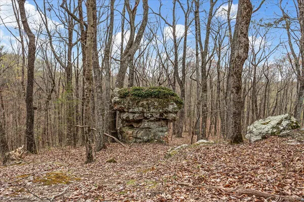 $1,250,000 | 4660 South Pittsburg Mountain Road, South Pittsburg, TN 37380