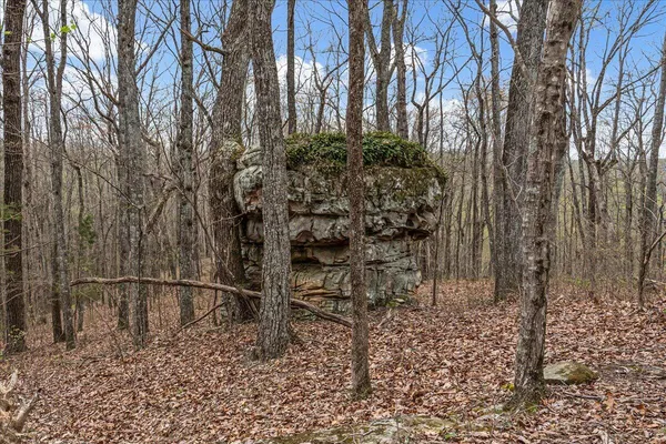 $1,250,000 | 4660 South Pittsburg Mountain Road, South Pittsburg, TN 37380