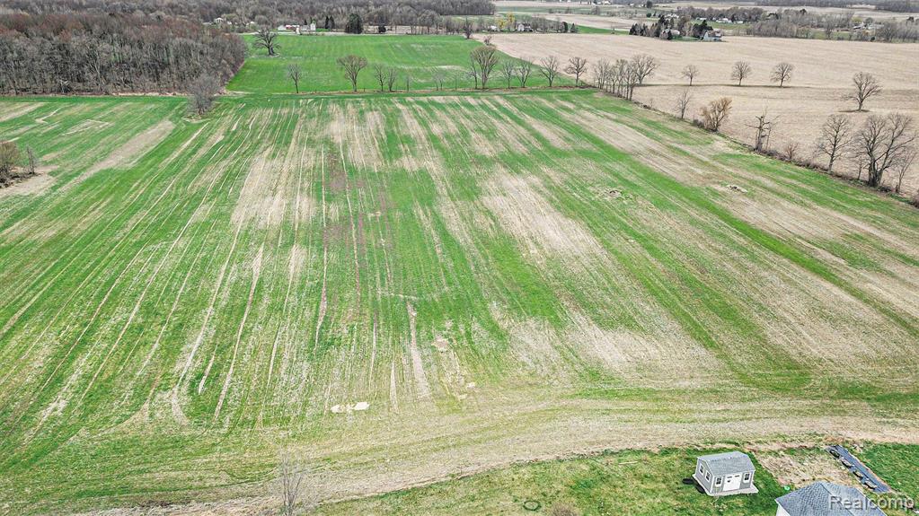 2 Mohrle Road Fowlerville, MI 48836 - Photo 8 of 18