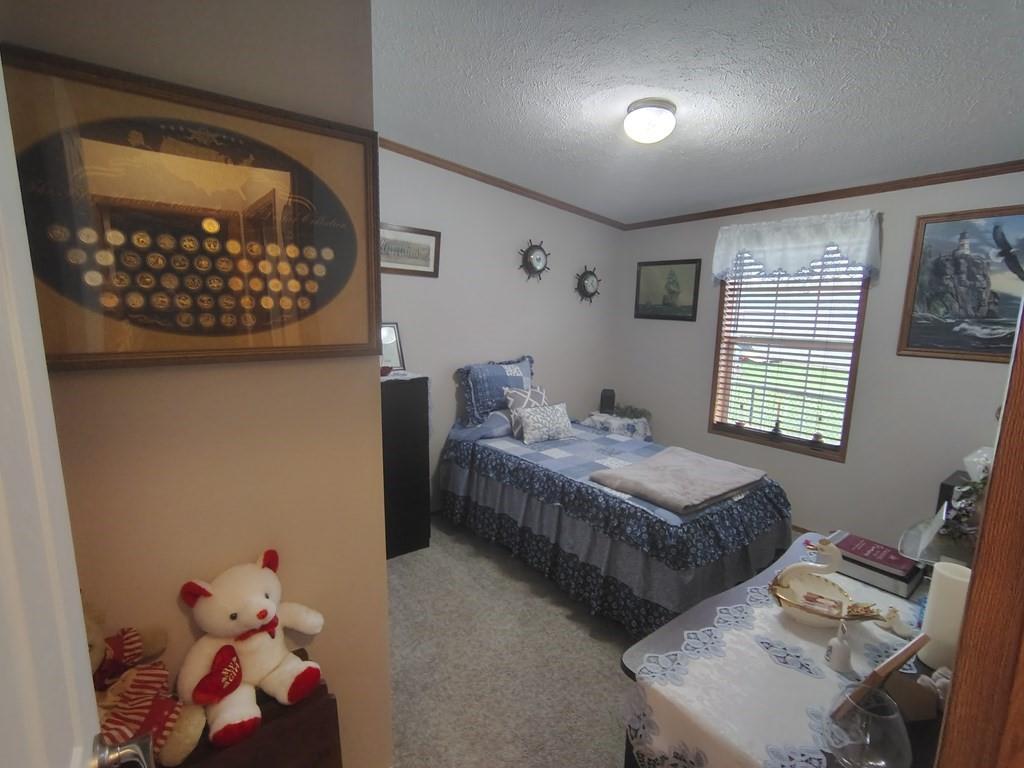 3959 Maple Street Hawthorn, PA 16230 - Photo 23 of 49