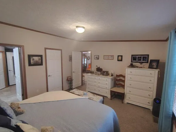 a bathroom with a shower and a toilet