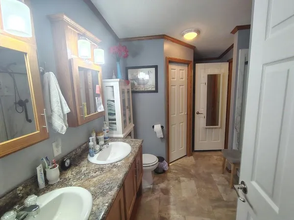 a bathroom with a sink a toilet a mirror a vanity and shower