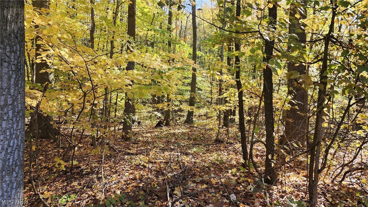 7118 Beckwith Road Pierpont, OH 44082 - Photo 26 of 30 Gallery Image 26