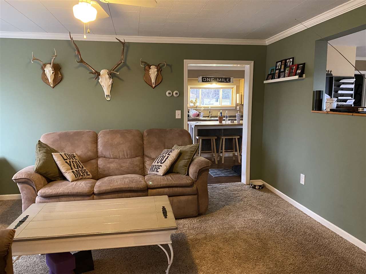 3197 Kidder Road East Jordan, MI 49727 - Photo 11 of 27 1886227-10.JPG