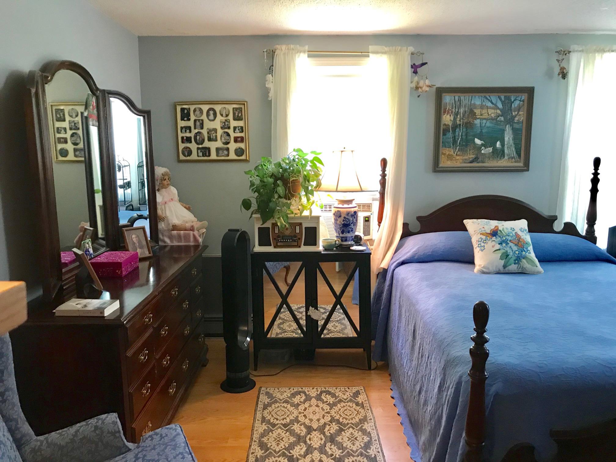 44 Pimlico Pond Road Forestdale, MA 02644 - Photo 15 of 28 a living room with furniture and a potted plant