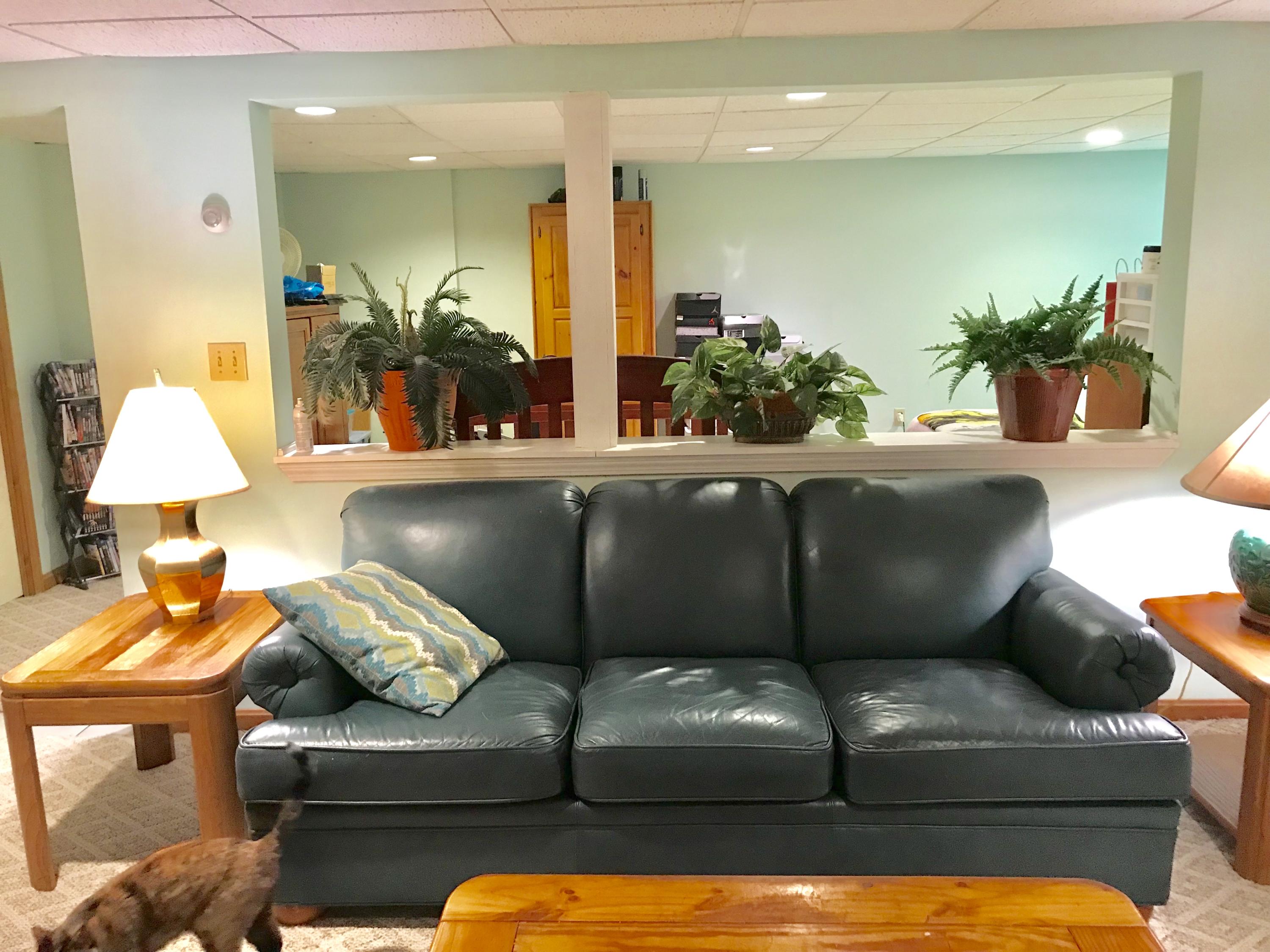 44 Pimlico Pond Road Forestdale, MA 02644 - Photo 20 of 28 a living room with furniture and a potted plant