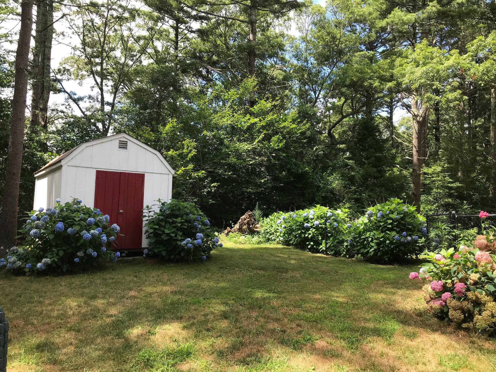 44 Pimlico Pond Road Forestdale, MA 02644 - Photo 26 of 28 a front view of a house with a yard