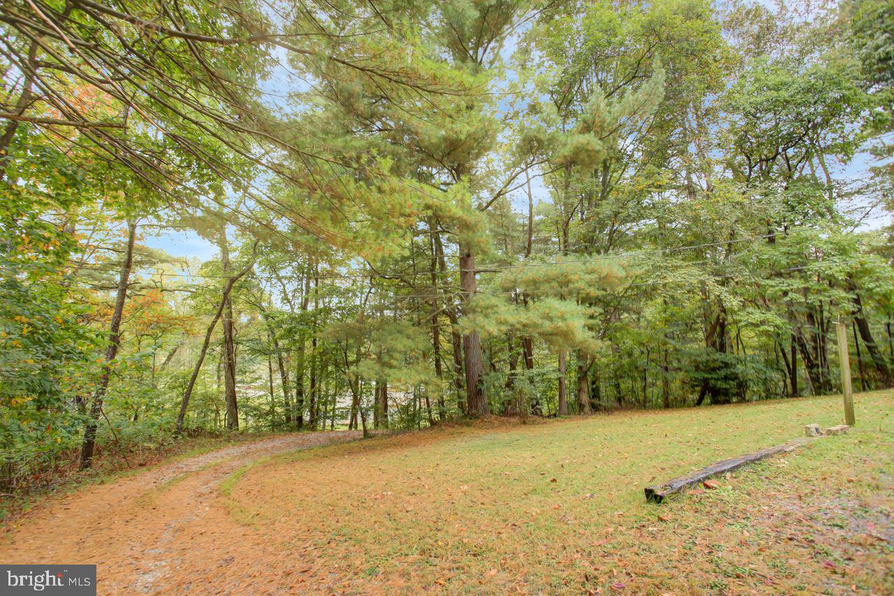 721 Narrows Road Biglerville, PA 17307 - Photo 3 of 40 a view of a yard with trees in front of it