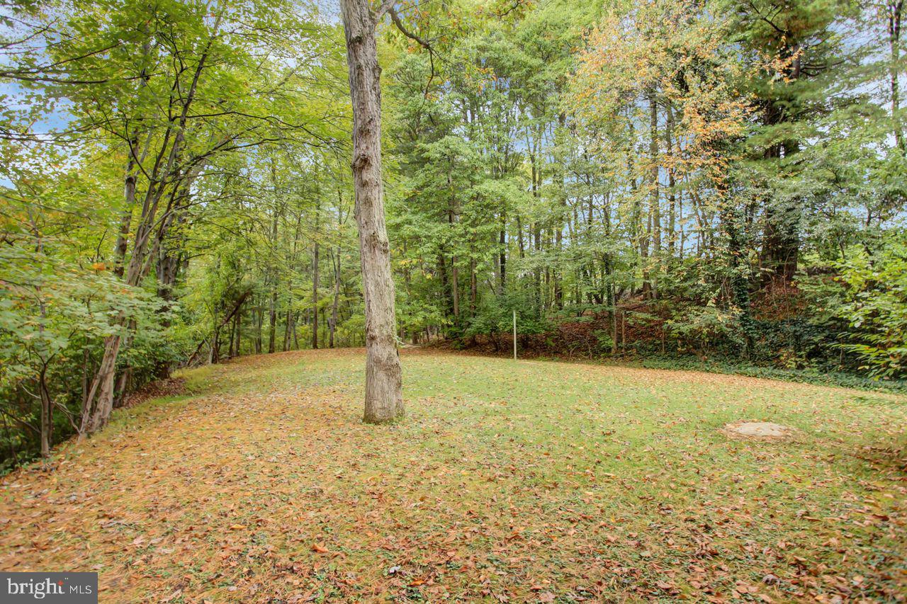 721 Narrows Road Biglerville, PA 17307 - Photo 4 of 40 a view of a yard with a house