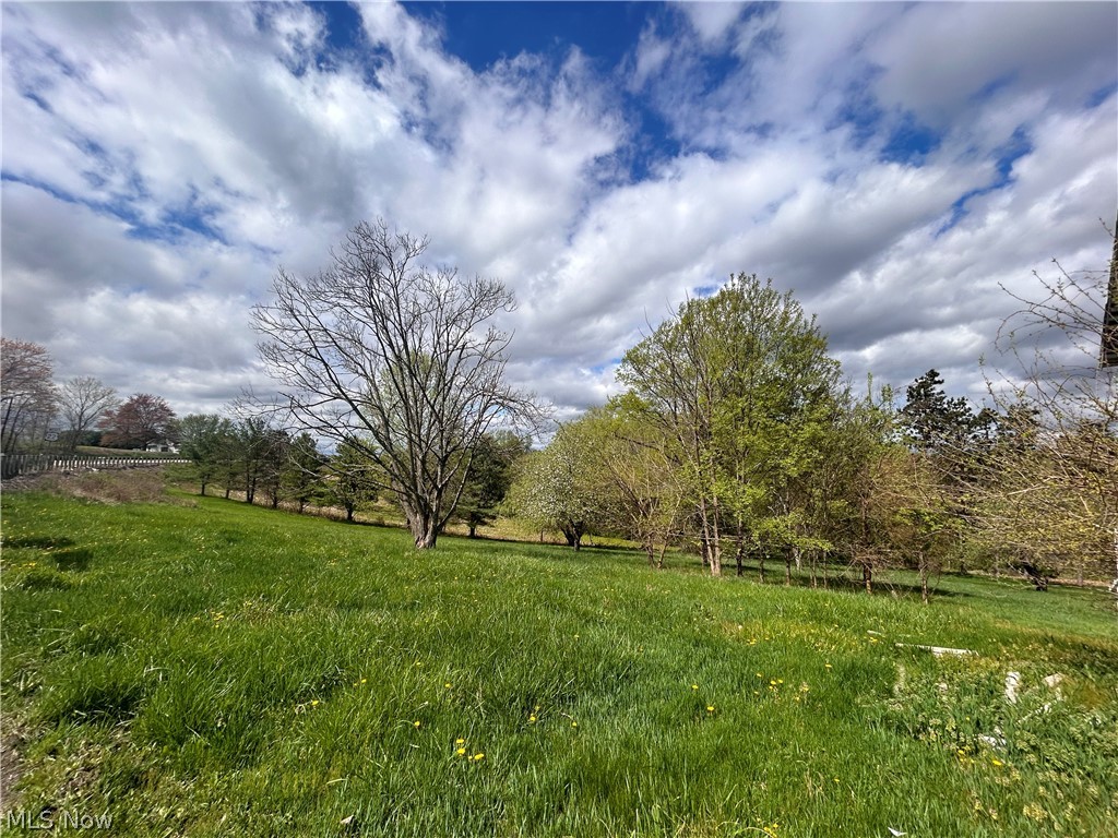 26057 Cadiz Road Freeport, OH 43973 - Photo 8 of 24 yard