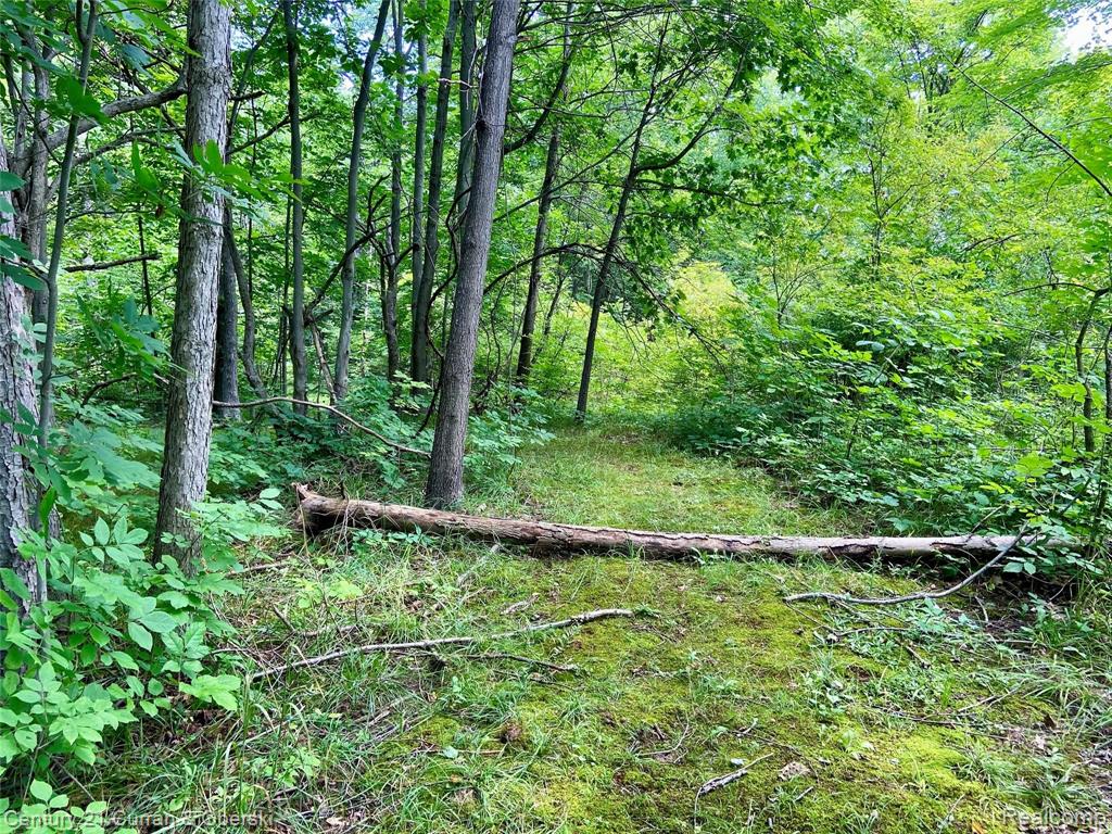 Vacant North Latson Road Howell, MI 48855 - Photo 26 of 33
