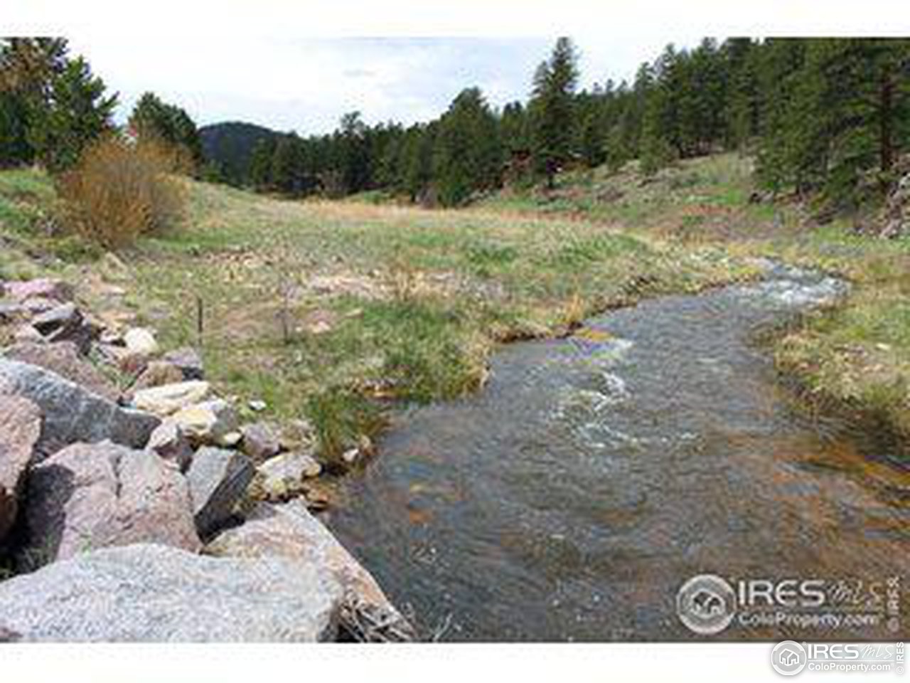 0 County Road 43 Glen Haven, CO 80532 - Photo 5 of 9 a view of a forest with trees in the background